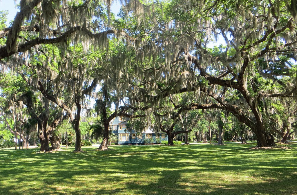 At the Jekyll Island Campground, you can enjoy the shade of the moss-draped Spanish Oaks that the island is known for.