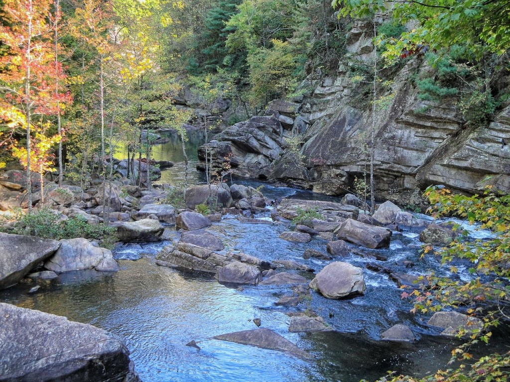 Georgia has several wonderful state parks, like Tallulah Gorge, which sits right next to the border with South Carolina.